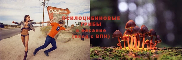 дмт Алексин