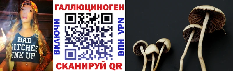 Галлюциногенные грибы мицелий  Купить закладки  Медвежьегорск 